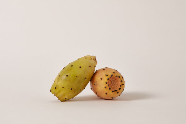 Extracto de Nopal (Cactus)
