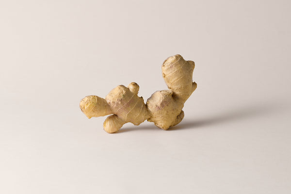 Raíz de Jengibre