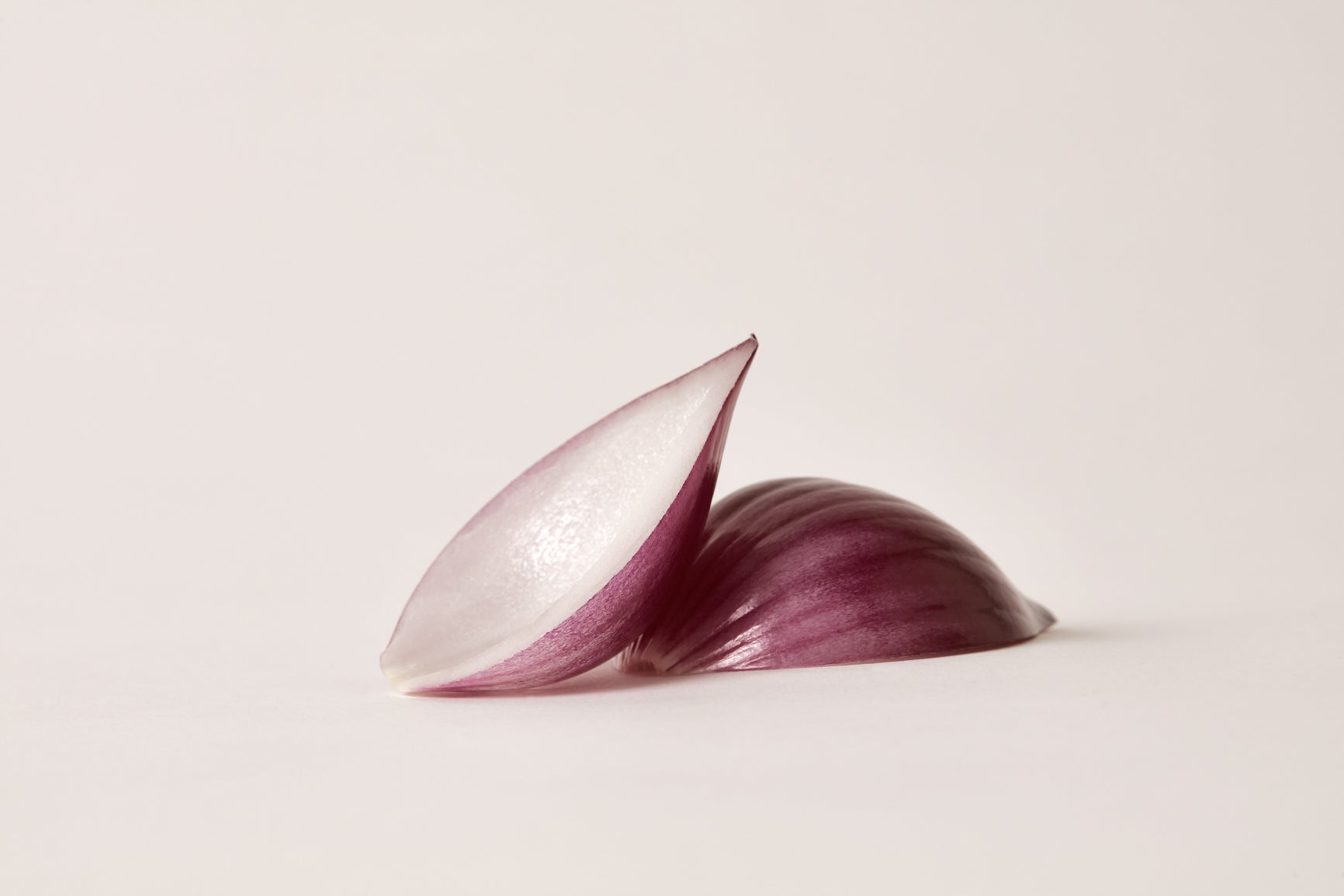 Red onion extract, the active in Tara's anti-hair-loss shampoo