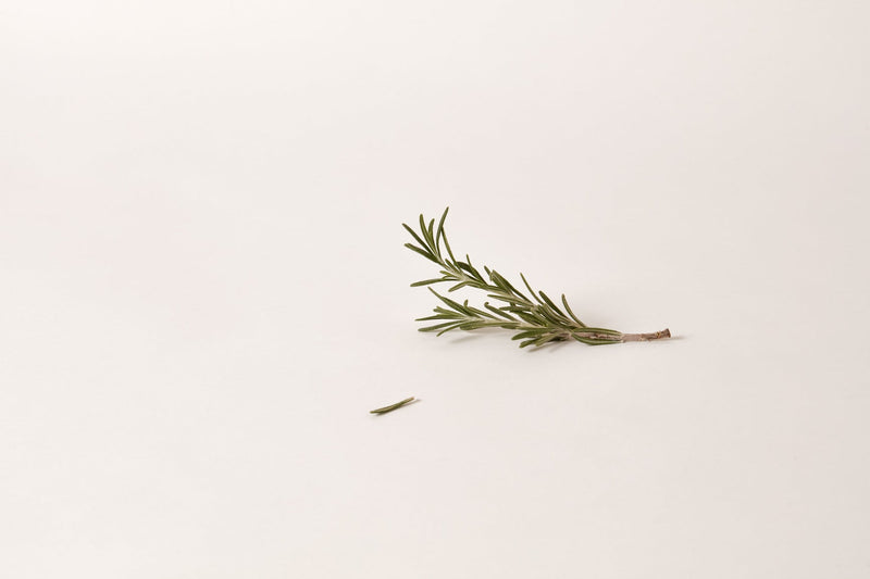 Rosemary extract, an evidence-backed alternative to biotin for hair