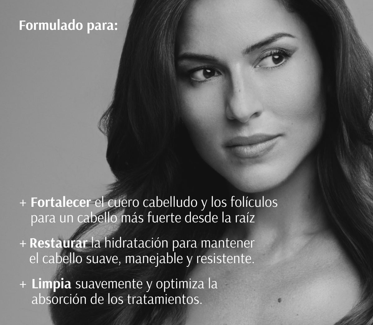 Champú Revitalizante