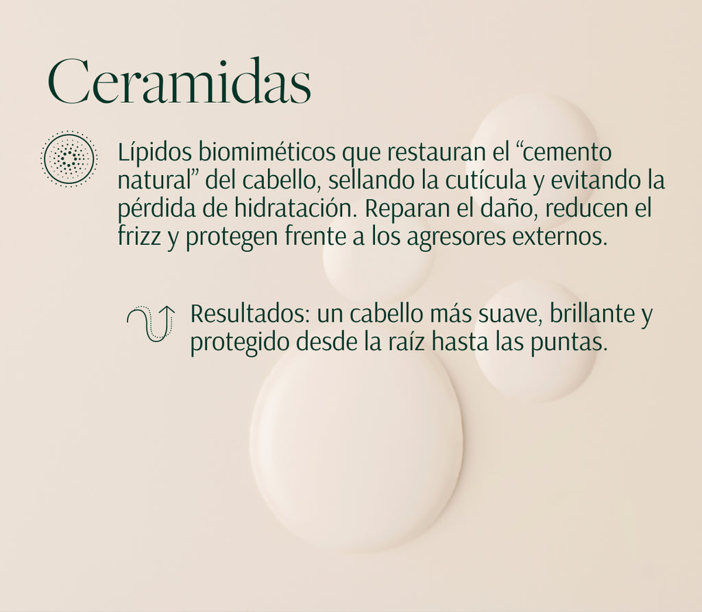 Rutina Reparadora y Fortalecedora