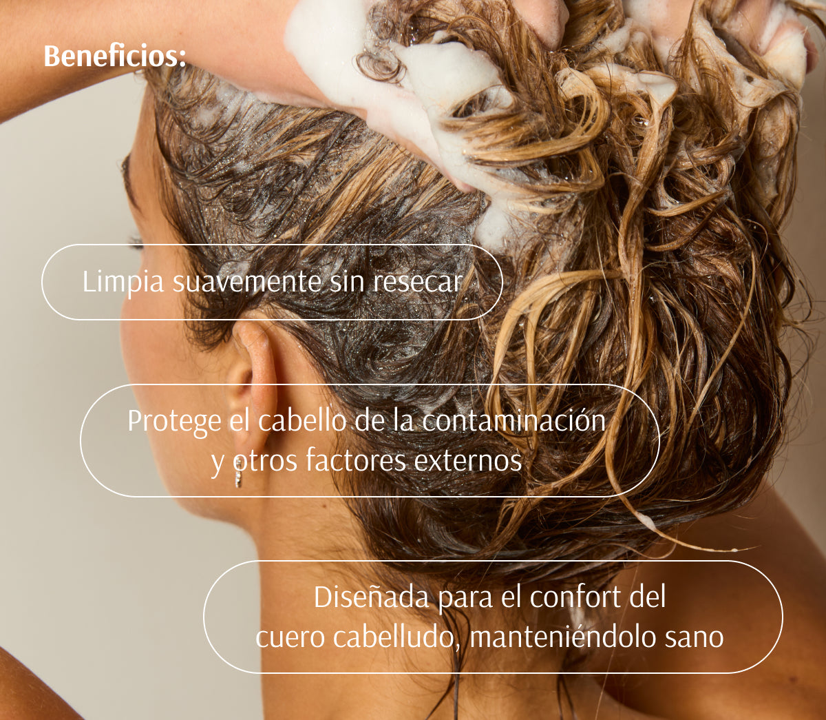 Champú Nutritivo