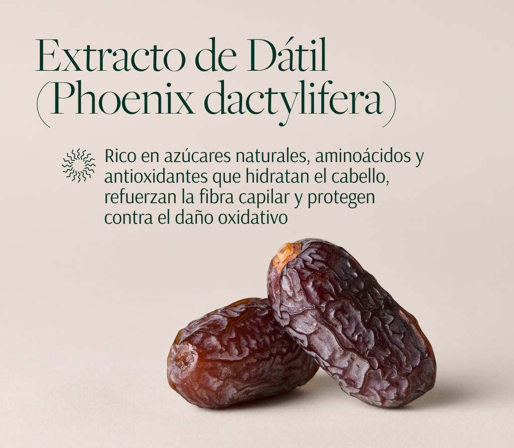 Rutina Nutritiva y Bienestar Capilar