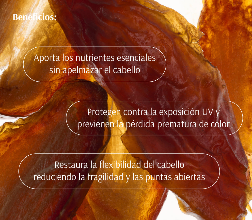 Rutina Nutritiva y Bienestar Capilar