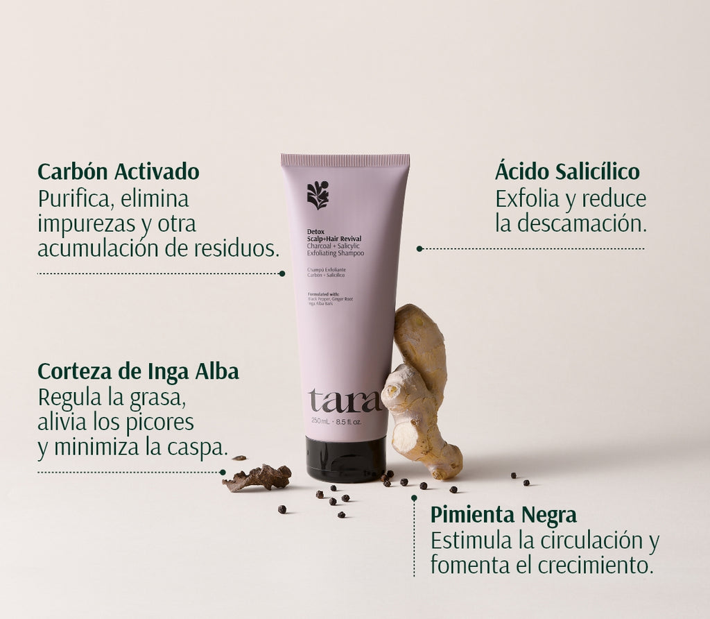Champú Exfoliante Carbón + Salicílico
