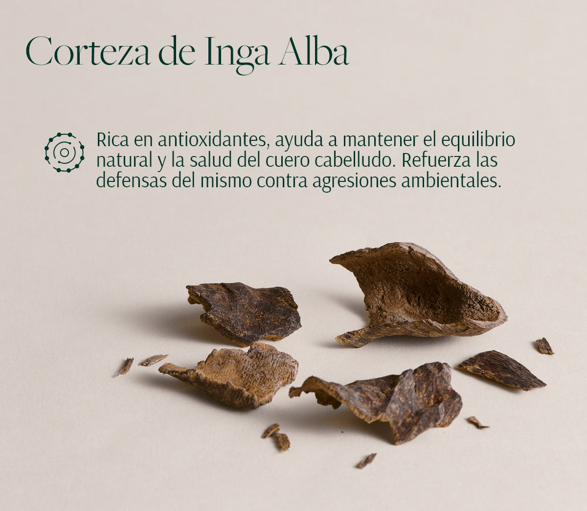 Rutina Revitalizante para Cuero Cabelludo