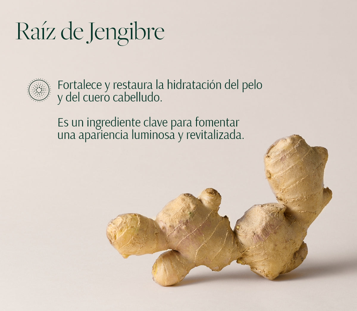 Rutina Revitalizante para Cuero Cabelludo