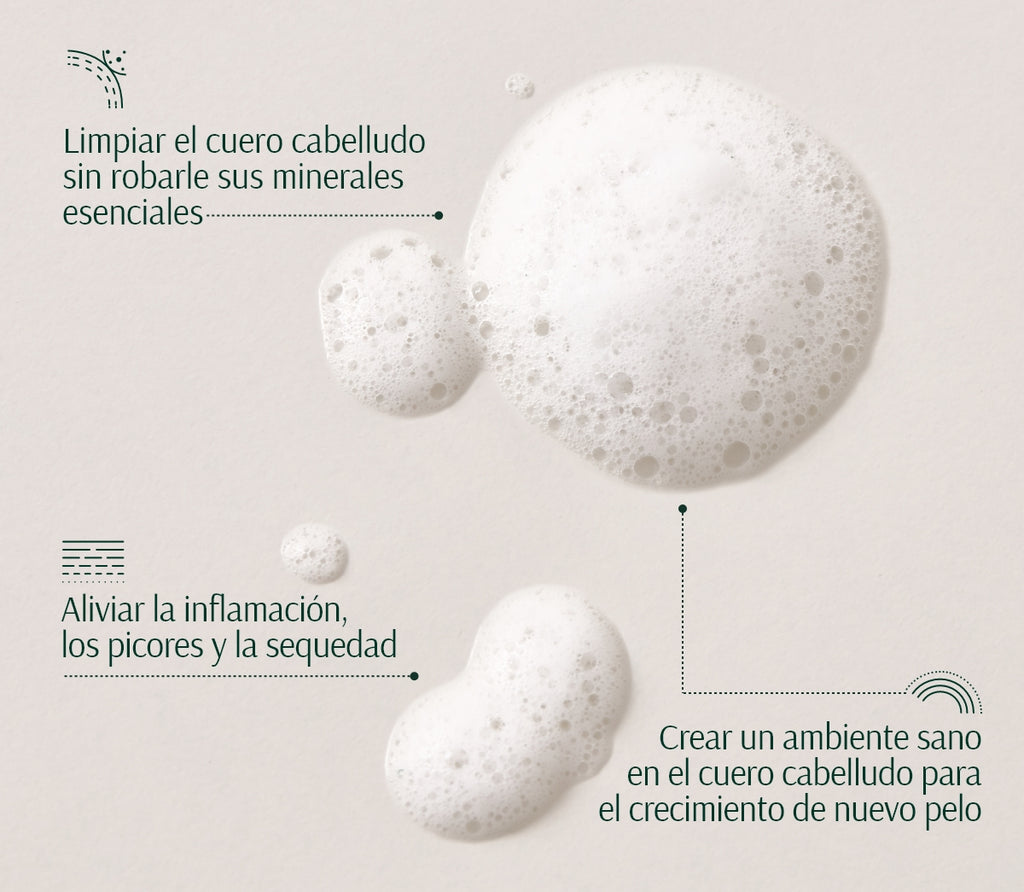 Champú Voluminizador