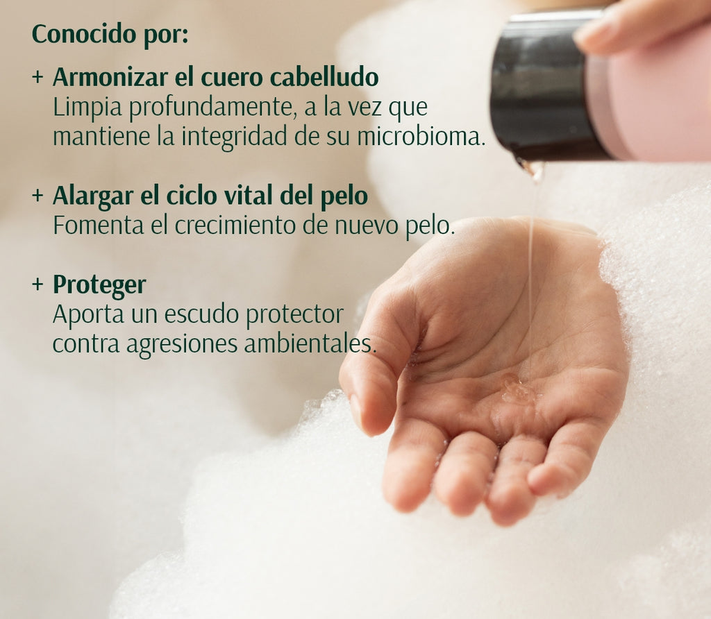 Champú Voluminizador