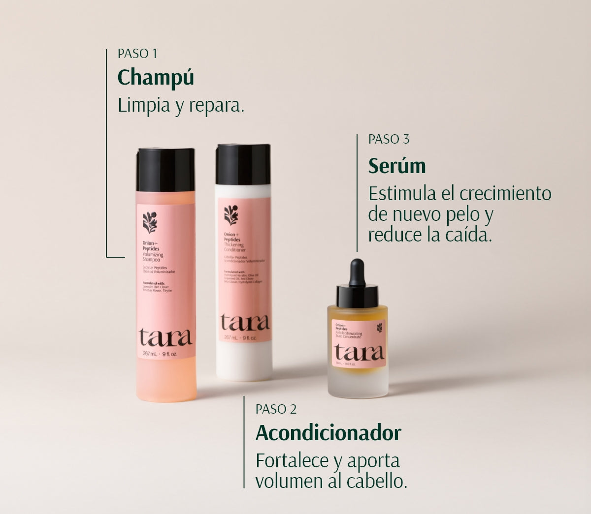 Rutina Anticaída y Volumen