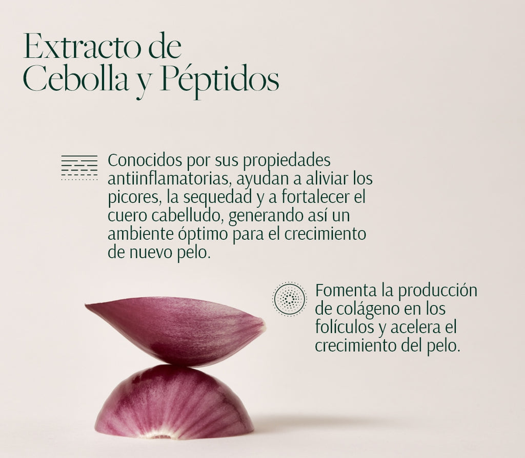 Rutina Anticaída y Volumen