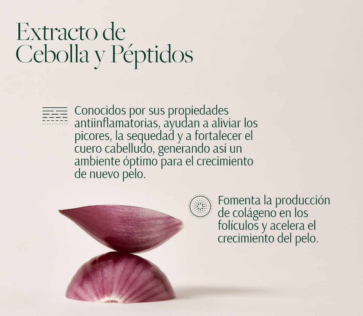 Rutina Anticaída y Volumen