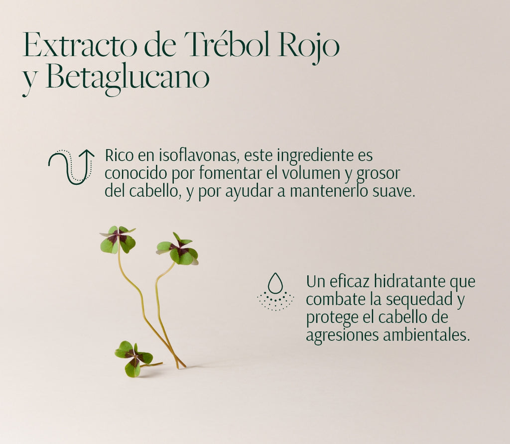 Rutina Anticaída y Volumen