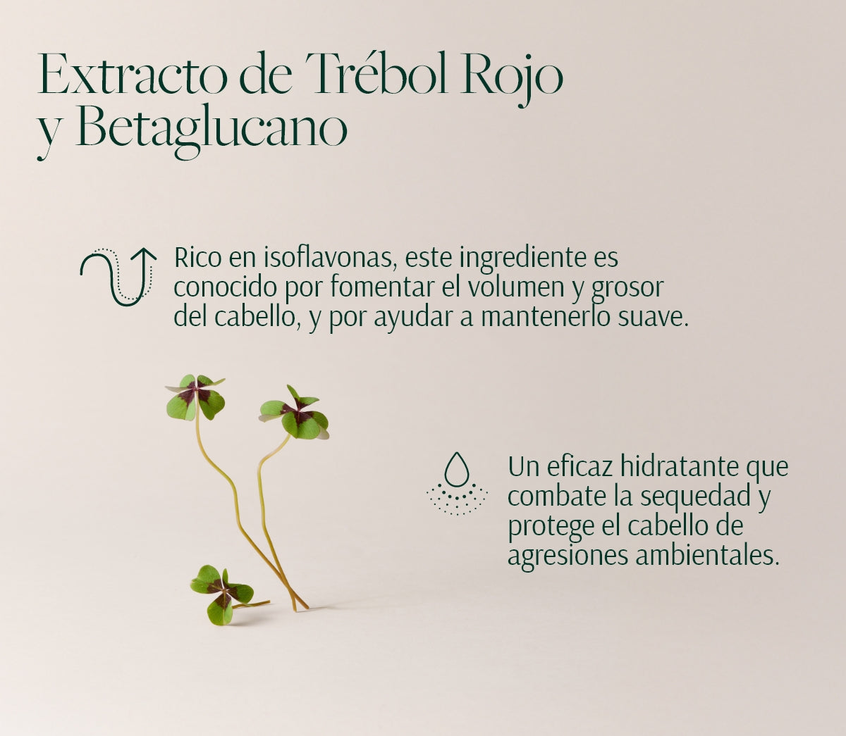 Rutina Anticaída y Volumen