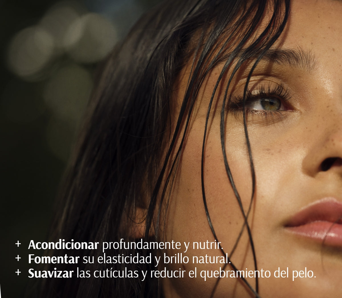 Acondicionador Densificante