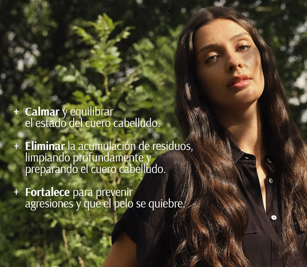 Champú Densificante
