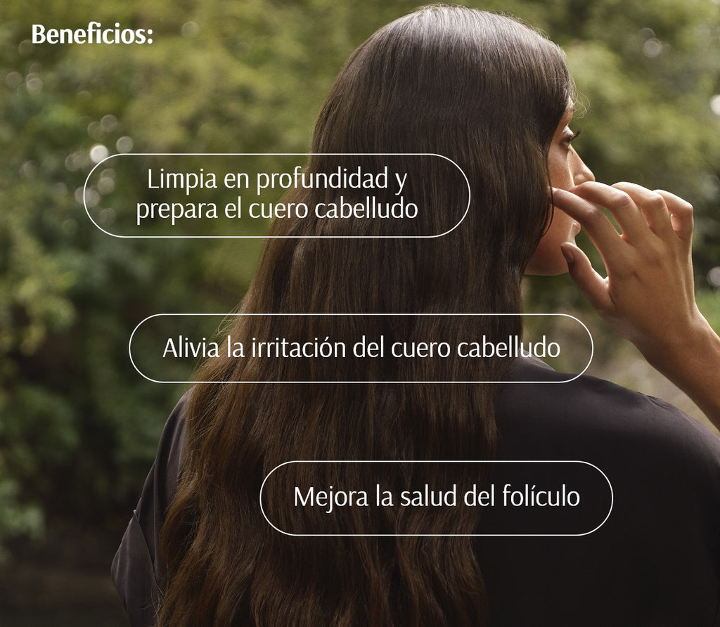 Champú Densificante Preparador del Cuero Cabelludo