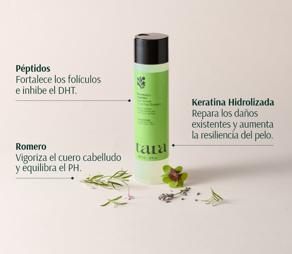 Champú Densificante Preparador del Cuero Cabelludo