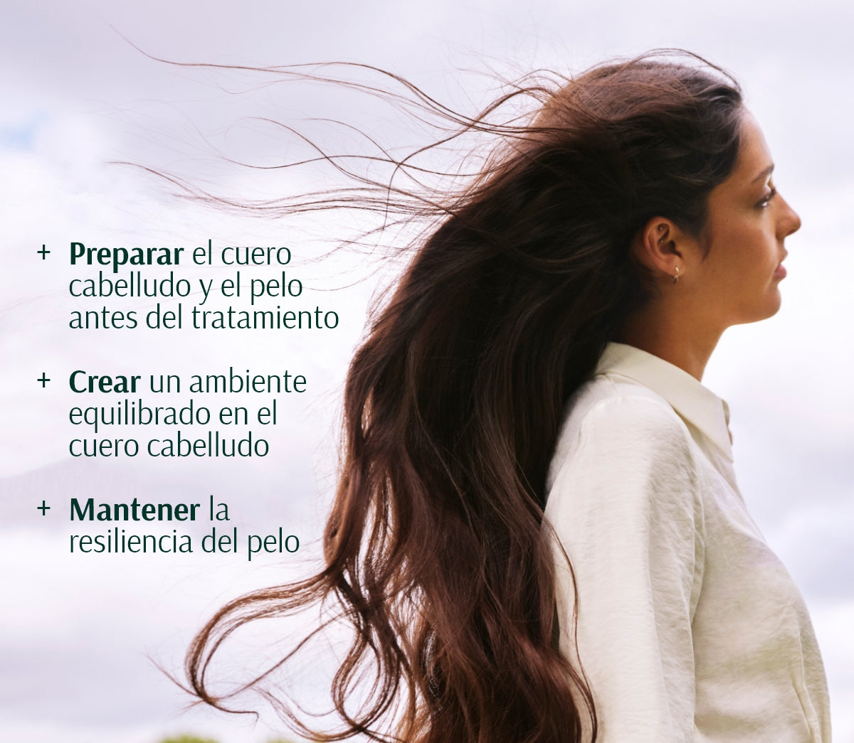 Champú Densificante Preparador del Cuero Cabelludo