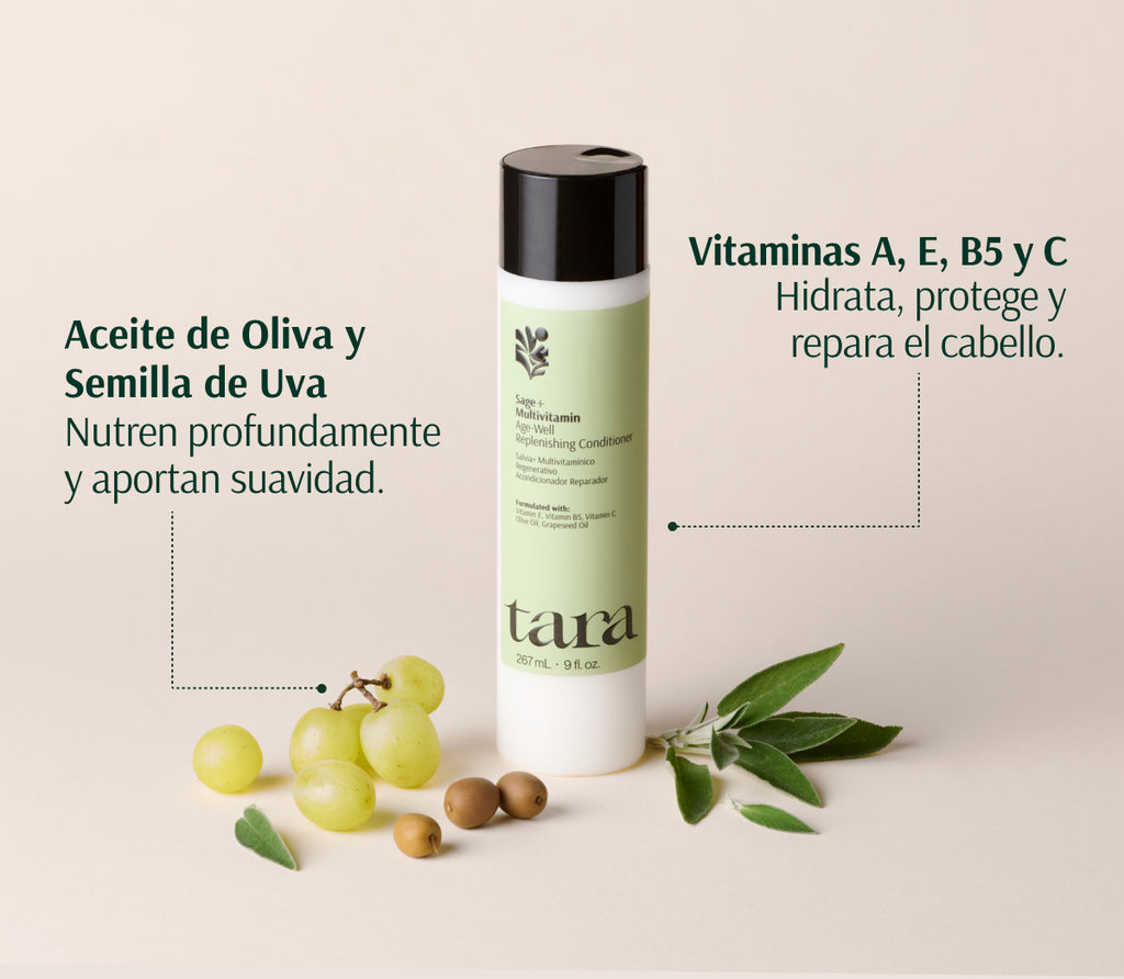 Acondicionador Regenerativo