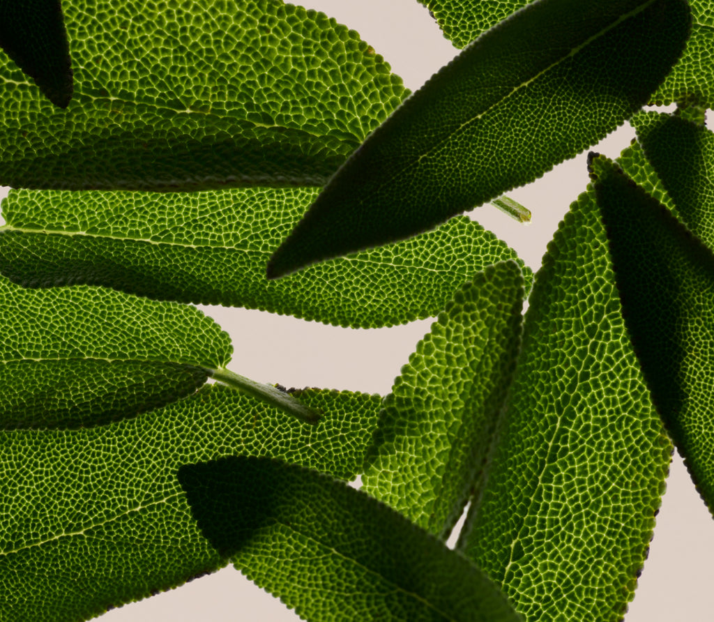 Acondicionador Regenerativo