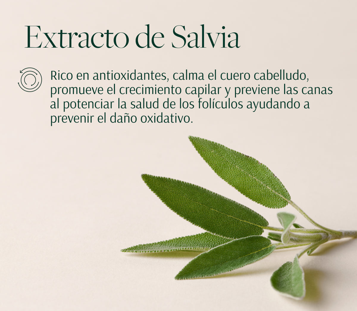 Rutina Regenerativa “Age-Well”