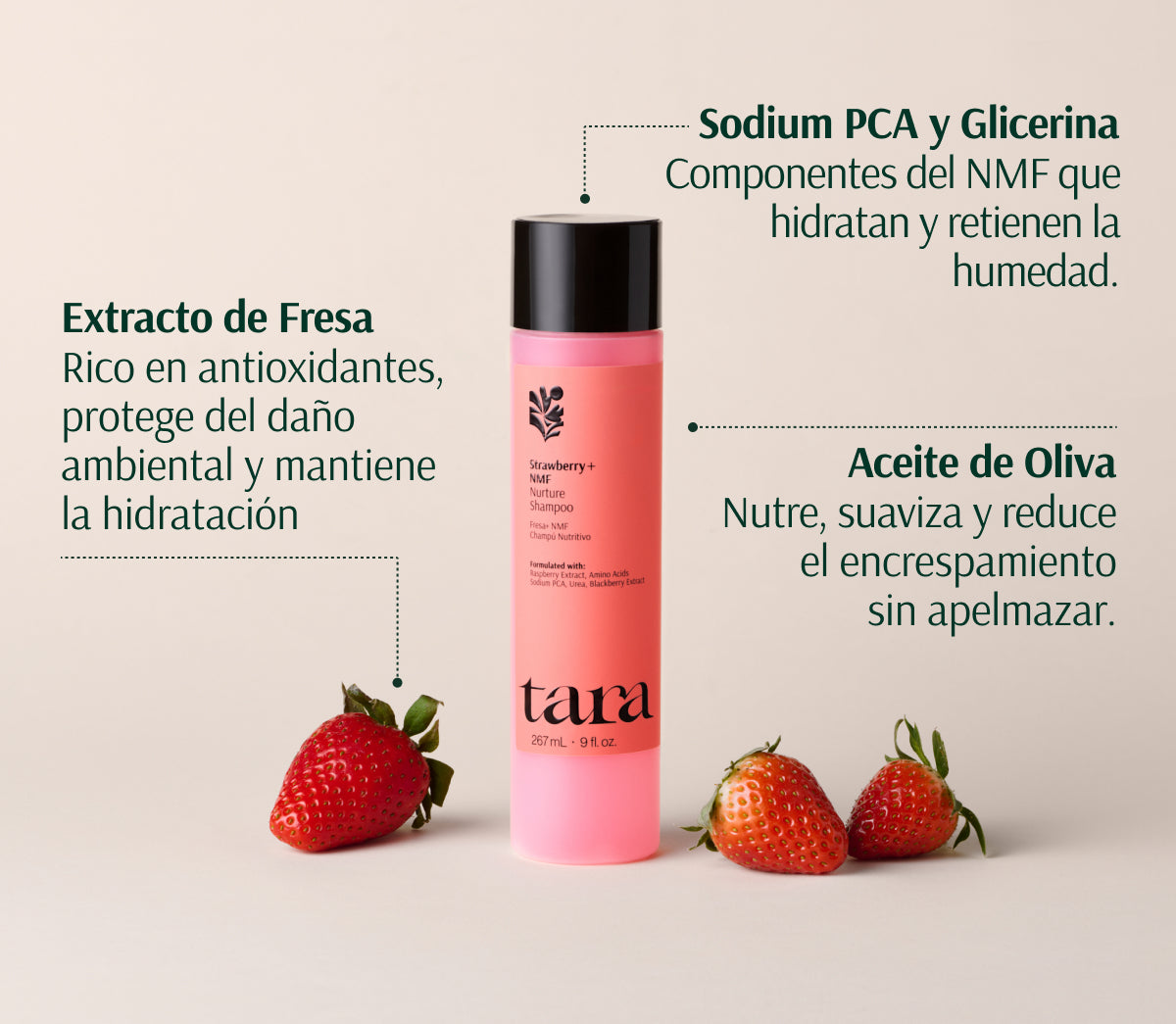 Champú Hidratante