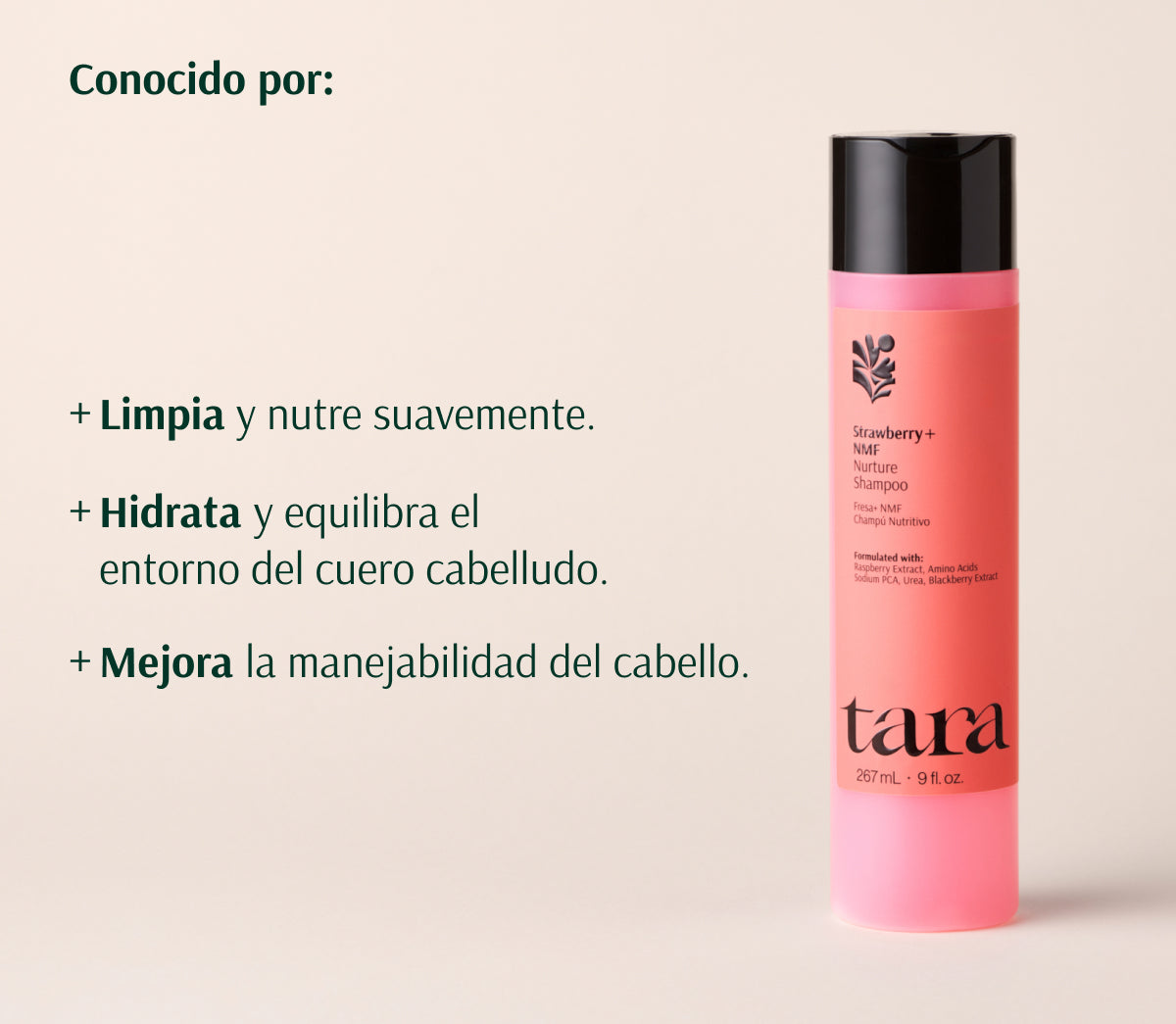 Moisturizing Shampoo