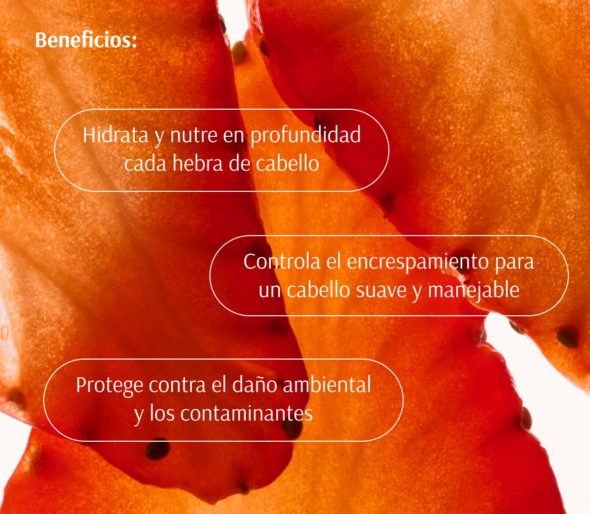 Tratamiento Hidratante