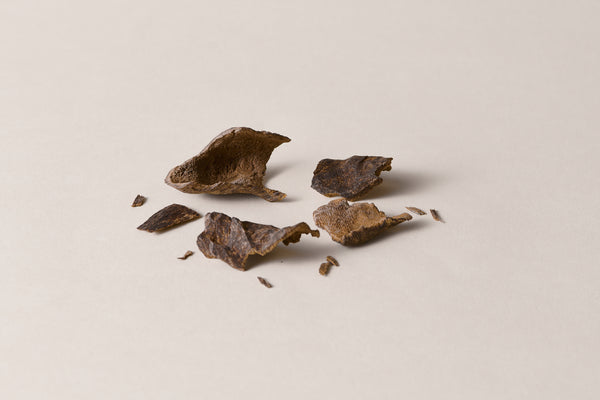 Corteza de Inga Alba